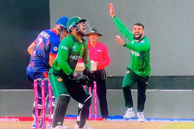 Shadab Khan celebrates the wicket of Gerhard Erasmus